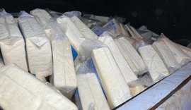 Fiscalização flagra laticínio e pocilga clandestinos em Major Izidoro; 1 tonelada apreendida