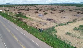 FPI flagra desmatamento de 60 hectares de vegetação nativa de Caatinga em Girau