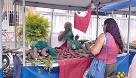 MST inicia Feira da Reforma Agrária em São Luís do Quitunde