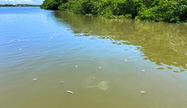 MPF oficia IMA e ICMBio sobre mortandade de peixes na Barra de Santo Antônio