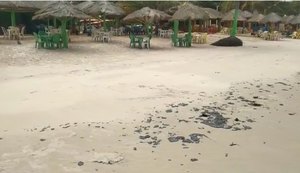 Veja vídeo: manchas escuras aparecem na areia da Praia da Lagoa do Pau em Coruripe