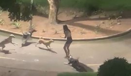Jovem é atacada por cães de rua enquanto fazia caminhada em praça de Arapiraca