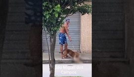 Homem que passeava com pitbull que atacou e matou gato é denunciado