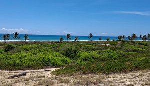 Ambientalistas propõem criação de Refúgio da Vida Silvestre no sul de Alagoas