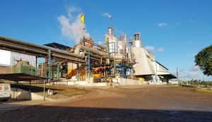 Pindorama aposta na diversificação de produtos do mix da cana