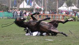 Susto no hipismo: brasileiro cai durante prova do Pan-Americano