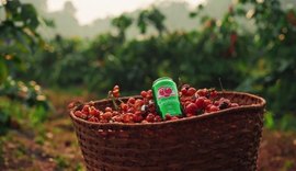 Ambev e Guaraná Antarctica vão produzir e doar 100 mil mudas em Maués