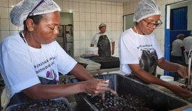 Ufal realiza campanha solidária para ajudar marisqueiras de Alagoas