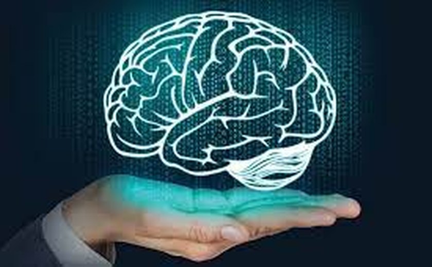 Neurociência em Sala de Aula: entenda como essa área pode ser uma aliada do processo de aprendizagem