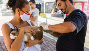 Prefeitura leva vacinação antirrábica neste domingo à Rua Aberta, na Ponta Verde