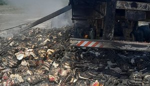 Caminhão tomba e pega fogo na AL-220, em São José da Tapera