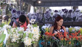 Pesquisadores de associação catalogam nova orquídea descoberta no agreste alagoano