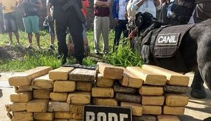 BOPE apreende 48 quilos de maconha após abordagem a ônibus