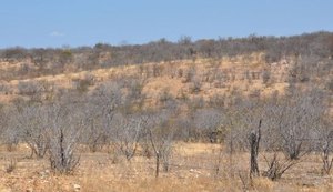 Ufal utiliza metodologia inédita para monitorar processo de desertificação no Brasil