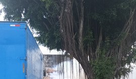 Vídeo: veículo pega fogo e fica totalmente destruído na parte alta de Maceió