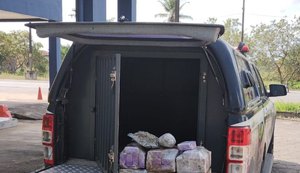 Cerca de 30 kg de maconha são apreendidos em ônibus interestadual em AL
