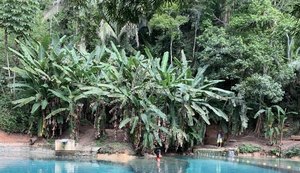 Atalaia, no Mapa do Turismo, tem piscinas naturais dentro da Mata Atlântica