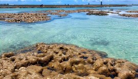 Prefeitura discute implantação do primeiro Parque Marinho em Maceió