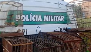 Oito aves silvestres são regatadas em ação do BPA em Marechal Deodoro