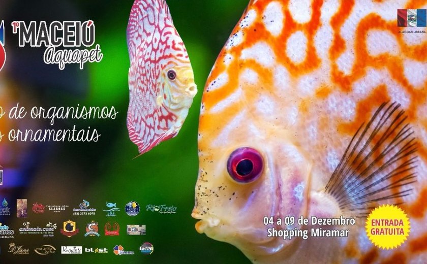 Exposição de peixes ornamentais será realizada pela primeira vez em Maceió