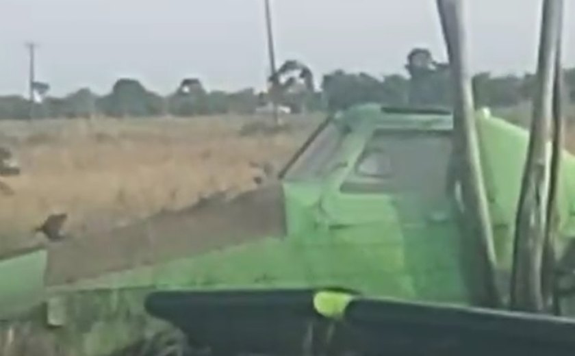Avião agrícola faz pouso de emergência no Pilar