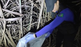 Polícia Científica examina amostras biológicas de caso de estupro em Rio Largo