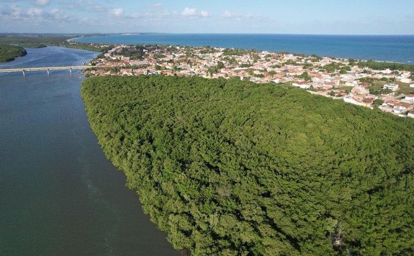 Projeto Mangue Vivo vai monitorar e proteger manguezais da Bacia Hidrográfica do Pratagy