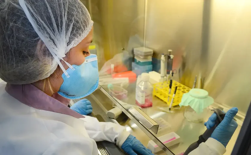 Pesquisa de vacina contra zika avança em testes com camundongos na USP