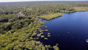 Fundo Amazônia bate recorde ao destinar mais de R$ 1 bilhão em 2025
