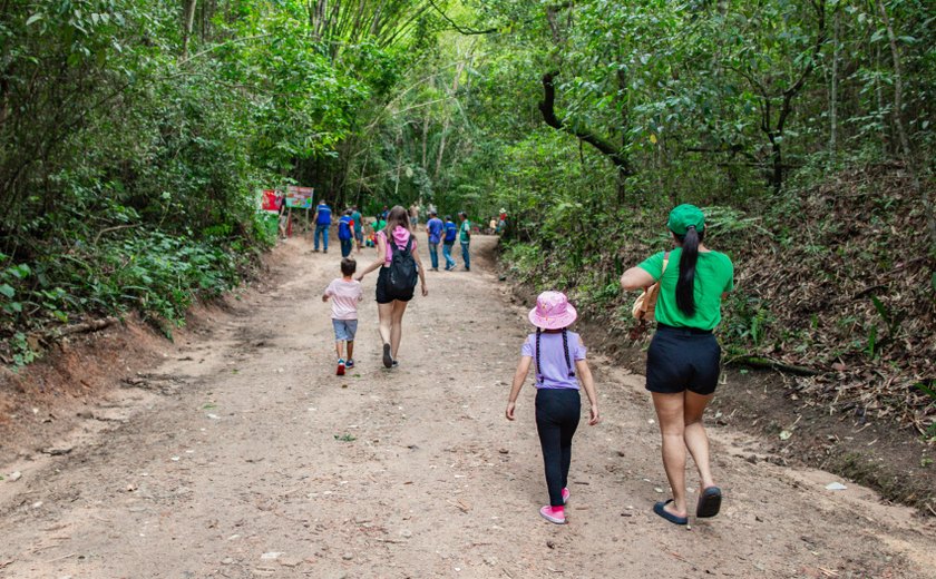 Parque Municipal fecha trilhas para manutenção