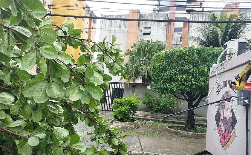 Rede elétrica e food truck são atingidos por queda de uma árvore na Ponta Verde