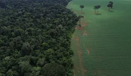Financiamento climático é responsabilidade de países ricos