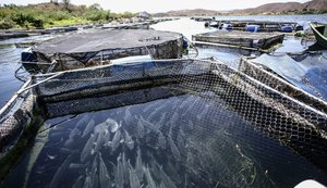 FPI flagra pesca irregular e orienta pescadores sobre período de reprodução de peixes
