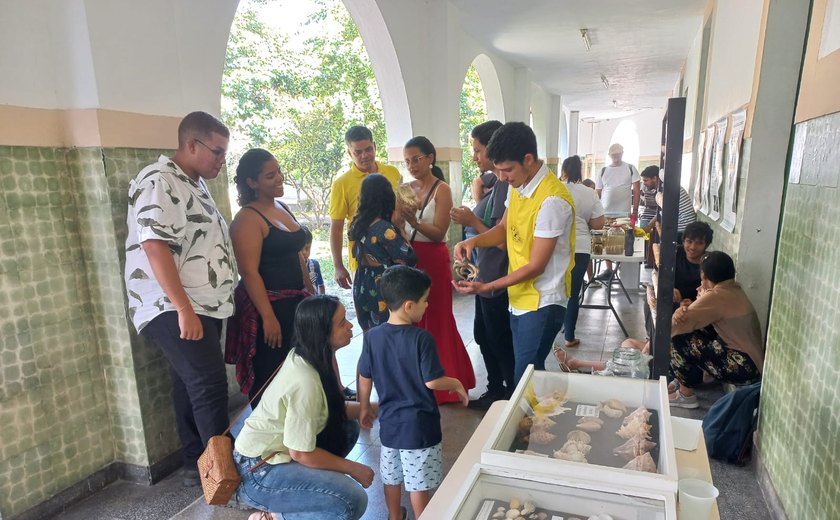 Exposição busca disseminar a consciência sobre a cultura oceânica em prol da sustentabilidade