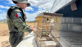 FPI resgata 48 animais em situação de cativeiro irregular