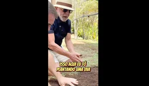 Em vídeo a Trump, Lula planta uva e diz semear comida e não ódio