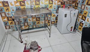 Clínica veterinária é interditada em São José da Tapera por cirurgias irregulares de animais