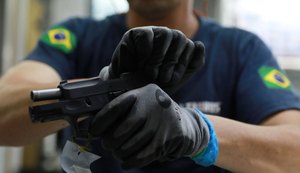 Proprietários de armas de fogo têm 60 dias para fazer cadastro