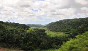 Alagoas é o segundo estado que menos desmata Mata Atlântica no país