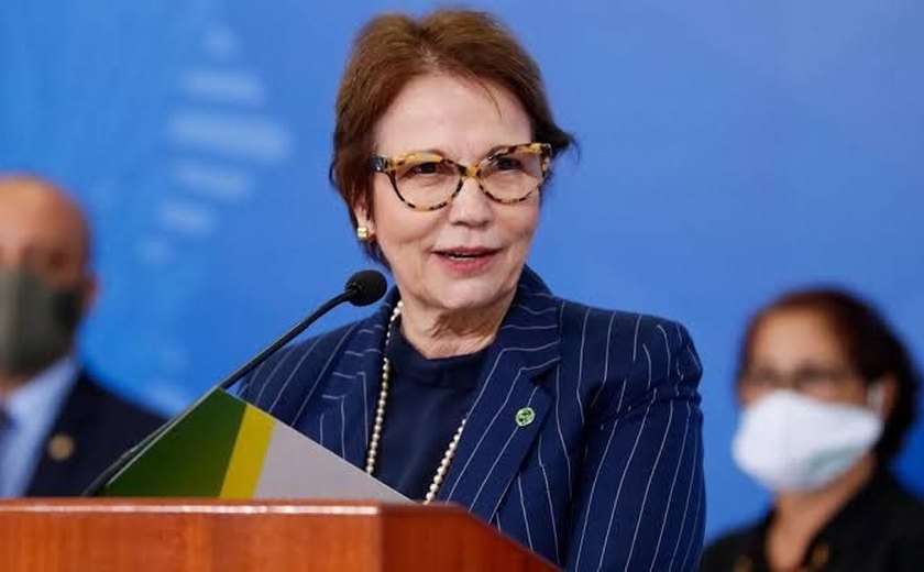 Maior presença de gado poderia ter minimizado queimadas no Pantanal, diz Tereza Cristina