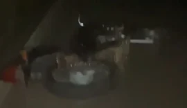 Motociclista morre ao perder controle do veículo e cair em curva, em Lagoa da Canoa