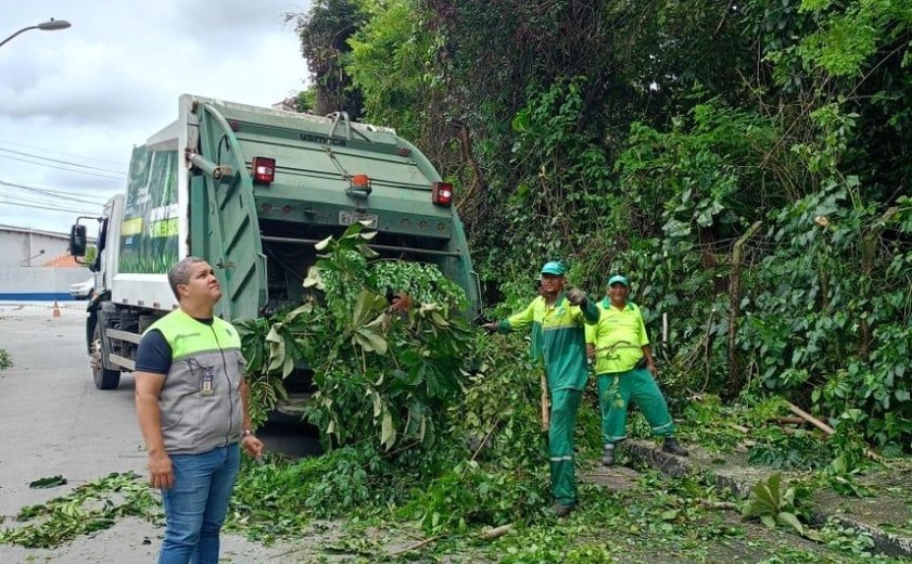 Alurb realiza intervenções em árvores no bairro da Gruta de Lourdes