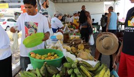 Feira Orgânica chega à quarta edição neste domingo (12) na Rua Fechada