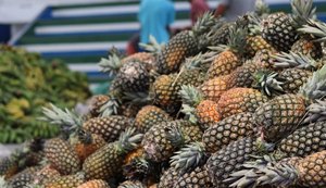 Prefeitura convoca agricultores para participar de audiência pública na quinta (3)