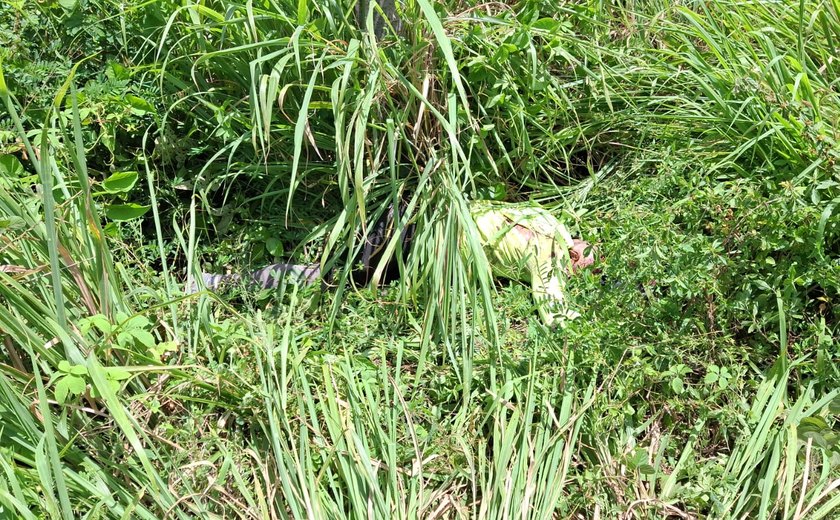 Polícia Civil investiga acidente que matou professor na AL-101 Sul