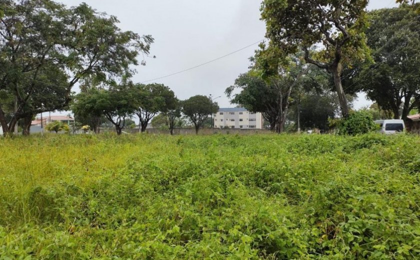 Terreno abandonado: população pode denunciar e proprietários sofrerem punição