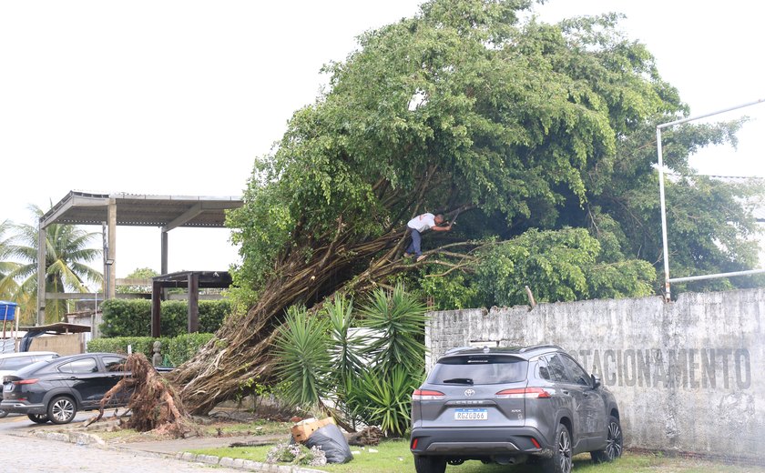 Maceió lidera ranking nacional de chuvas