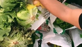 Startup registra aumento de 120% na venda de alimentos orgânicos