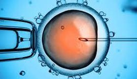Defensoria Pública garante fertilização in vitro para mulher com quadro de endometriose profunda