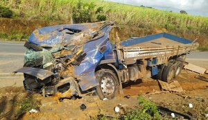 Caminhão com carga de ração tomba em trecho da AL-215